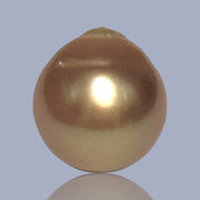 Giant Oval 14.3 x 15.6mm 22.6 Carats Deep Gold South Sea Pearl