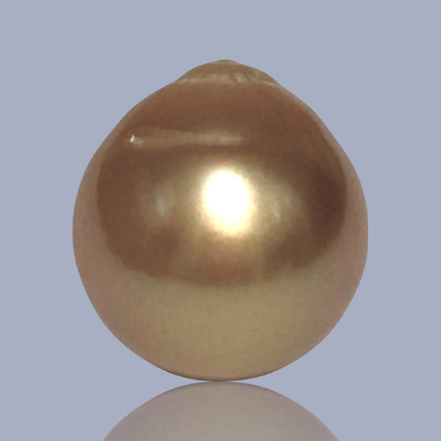 Giant Oval 14.3 x 15.6mm 22.6 Carats Deep Gold South Sea Pearl