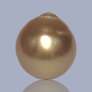 Giant Oval 14.3 x 15.6mm 22.6 Carats Deep Gold South Sea Pearl