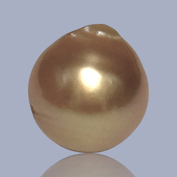 Giant Oval 14.3 x 15.6mm 22.6 Carats Deep Gold South Sea Pearl