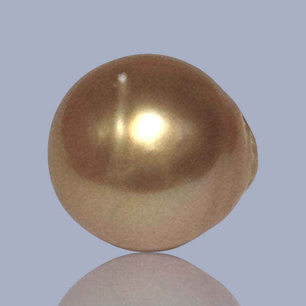 Giant Oval 14.3 x 15.6mm 22.6 Carats Deep Gold South Sea Pearl