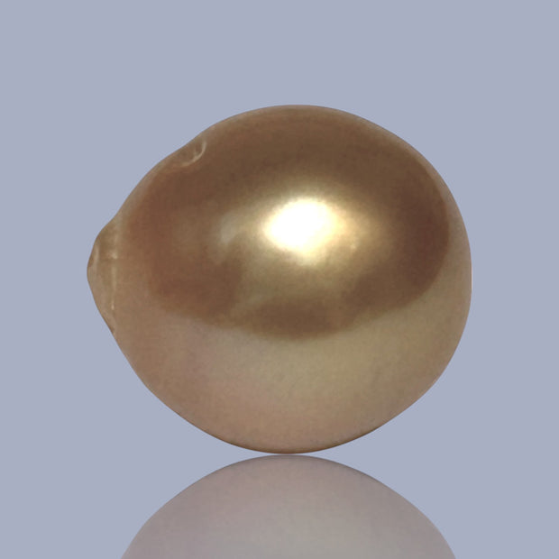 Giant Oval 14.3 x 15.6mm 22.6 Carats Deep Gold South Sea Pearl