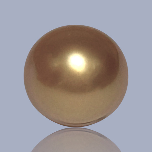 Giant Oval 14.3 x 15.6mm 22.6 Carats Deep Gold South Sea Pearl