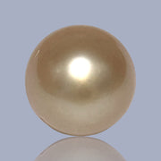 Shiny 15.4 x 18.2mm 29.6 Carat Gold Philippines South Sea Pearl