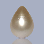 Teardrop 11 x 14.9mm 11.6 Carats Pale Gold South Sea Pearl