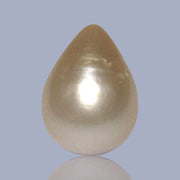 Teardrop 11 x 14.9mm 11.6 Carats Pale Gold South Sea Pearl