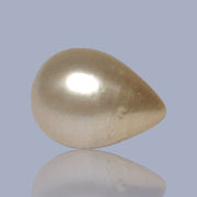 Teardrop 11 x 14.9mm 11.6 Carats Pale Gold South Sea Pearl