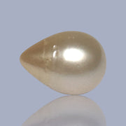 Teardrop 11 x 14.9mm 11.6 Carats Pale Gold South Sea Pearl