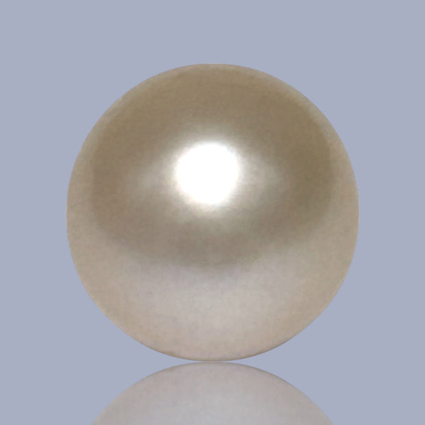 Teardrop 11 x 14.9mm 11.6 Carats Pale Gold South Sea Pearl