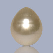 Giant Smooth 15 x 17.9mm 27.8 Carats Gold South Sea Teardrop Pearl