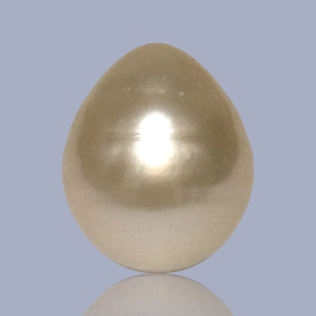 Giant Smooth 15 x 17.9mm 27.8 Carats Gold South Sea Teardrop Pearl