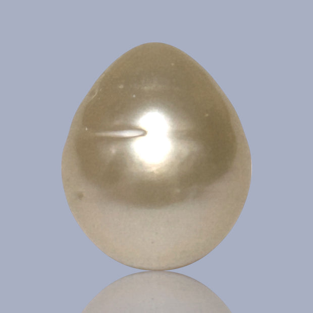 Giant Smooth 15 x 17.9mm 27.8 Carats Gold South Sea Teardrop Pearl