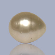 Giant Smooth 15 x 17.9mm 27.8 Carats Gold South Sea Teardrop Pearl