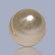 Giant Smooth 15 x 17.9mm 27.8 Carats Gold South Sea Teardrop Pearl