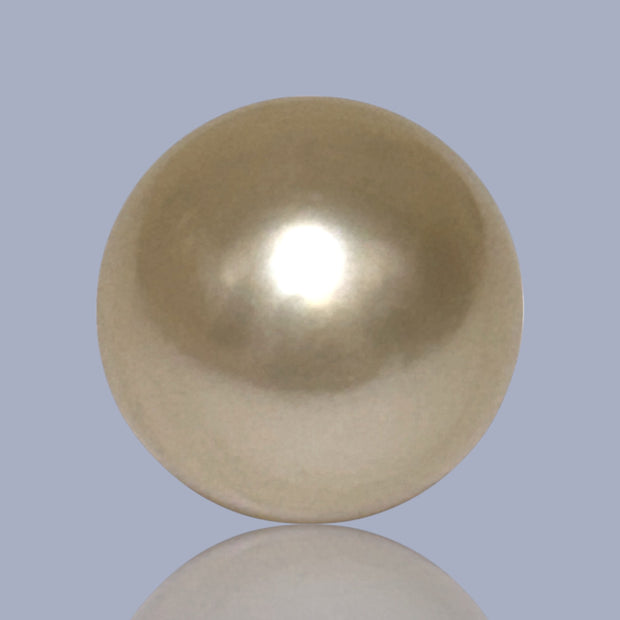 Giant Smooth 15 x 17.9mm 27.8 Carats Gold South Sea Teardrop Pearl