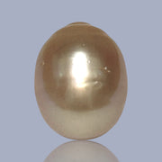 Oval Giant 13.7 x 17.4mm Rich Gold Philippines South Sea Loose Pearl