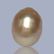 Oval Giant 13.7 x 17.4mm Rich Gold Philippines South Sea Loose Pearl