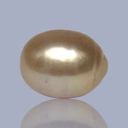 Oval Giant 13.7 x 17.4mm Rich Gold Philippines South Sea Loose Pearl