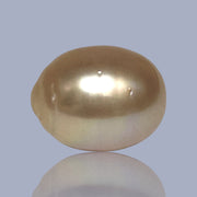 Oval Giant 13.7 x 17.4mm Rich Gold Philippines South Sea Loose Pearl