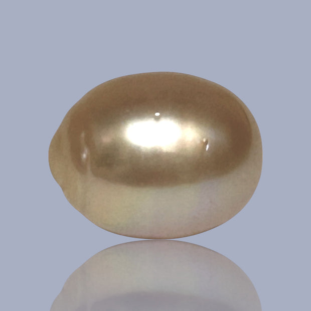 Oval Giant 13.7 x 17.4mm Rich Gold Philippines South Sea Loose Pearl