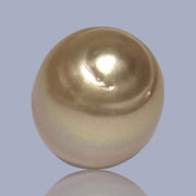 Oval Giant 13.7 x 17.4mm Rich Gold Philippines South Sea Loose Pearl