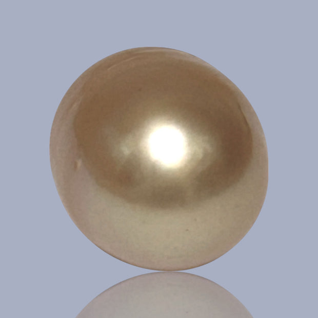 Oval Giant 13.7 x 17.4mm Rich Gold Philippines South Sea Loose Pearl