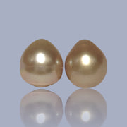 Giant A Pair 13.4 x 15mm 37.3 Carats Deep Gold South Sea Oval Pearl