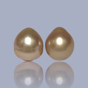 Giant A Pair 13.4 x 15mm 37.3 Carats Deep Gold South Sea Oval Pearl