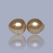 Giant A Pair 13.4 x 15mm 37.3 Carats Deep Gold South Sea Oval Pearl