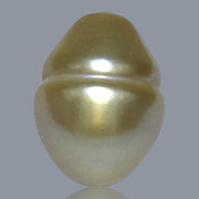 Baroque 11.6 x 15.5mm 13.8 Carats Rich Gold South Sea Loose Pearl