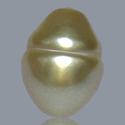 Baroque 11.6 x 15.5mm 13.8 Carats Rich Gold South Sea Loose Pearl