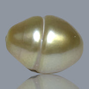 Baroque 11.6 x 15.5mm 13.8 Carats Rich Gold South Sea Loose Pearl