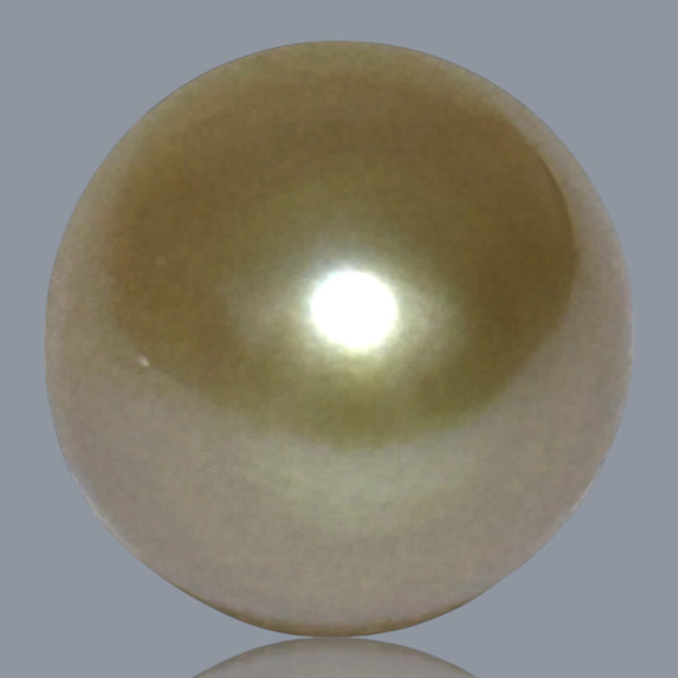 Baroque 11.6 x 15.5mm 13.8 Carats Rich Gold South Sea Loose Pearl