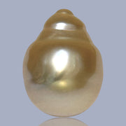 Baroque 12.8 x 17.2mm 18.8 Carats Natural Gold South Sea Loose Pearl