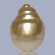 Baroque 12.8 x 17.2mm 18.8 Carats Natural Gold South Sea Loose Pearl