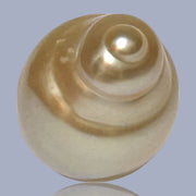 Baroque 12.8 x 17.2mm 18.8 Carats Natural Gold South Sea Loose Pearl