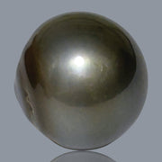 Round 13 x 13.5mm 17.8 Carats Tahitian Sea Peacock Grey Green Pearl