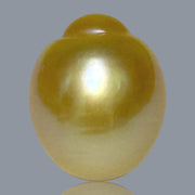 Giant Oval 13.8 x 16.7mm 22.4 Carats Deep Gold South Sea Pearl Loose