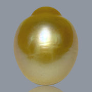 Giant Oval 13.8 x 16.7mm 22.4 Carats Deep Gold South Sea Pearl Loose