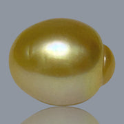 Giant Oval 13.8 x 16.7mm 22.4 Carats Deep Gold South Sea Pearl Loose