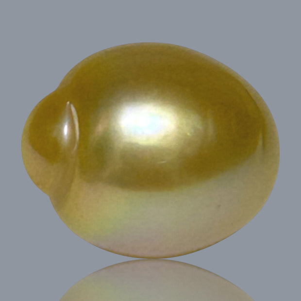 Giant Oval 13.8 x 16.7mm 22.4 Carats Deep Gold South Sea Pearl Loose