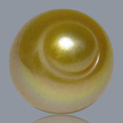 Giant Oval 13.8 x 16.7mm 22.4 Carats Deep Gold South Sea Pearl Loose