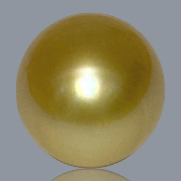 Giant Oval 13.8 x 16.7mm 22.4 Carats Deep Gold South Sea Pearl Loose