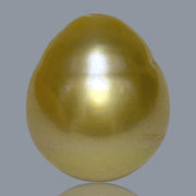 Giant Oval 14.5 x 16.8mm 24.6 Carats Deep Gold South Sea Pearl Loose