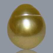 Giant Oval 14.5 x 16.8mm 24.6 Carats Deep Gold South Sea Pearl Loose