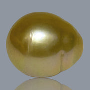 Giant Oval 14.5 x 16.8mm 24.6 Carats Deep Gold South Sea Pearl Loose