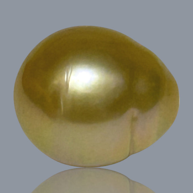 Giant Oval 14.5 x 16.8mm 24.6 Carats Deep Gold South Sea Pearl Loose