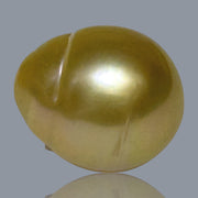 Giant Oval 14.5 x 16.8mm 24.6 Carats Deep Gold South Sea Pearl Loose