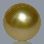 Giant Oval 14.5 x 16.8mm 24.6 Carats Deep Gold South Sea Pearl Loose