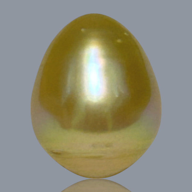 Giant Oval 14.1 x 17.5mm 23.7 Carats Deep Gold South Sea Pearl Loose